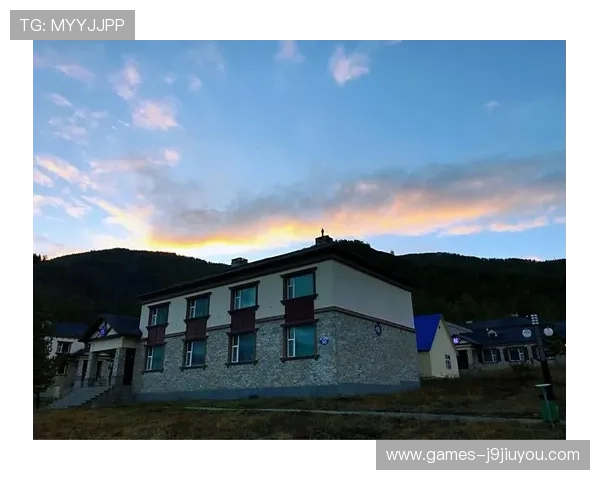 遇到9游会全站登录失败如何快速排查与解决问题